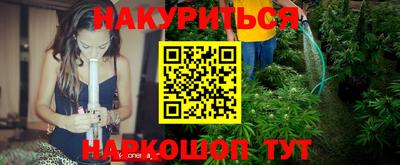 сатива Брянск