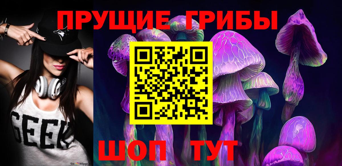 Новошахтинск  Галлюциногенные грибы GOLDEN TEACHER  Псилоцибиновые грибы GOLDEN TEACHER  Вход с VPN 